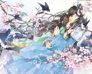 百合tv防封网址不翻车